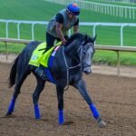 kentucky derby 2026