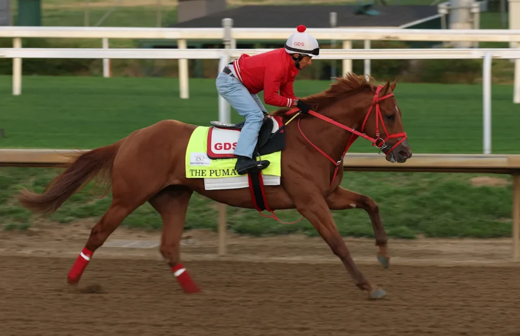 kentucky derby 2026